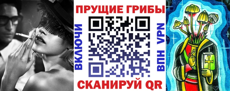 Галлюциногенные грибы ЛСД  Купить где  Сенгилей 